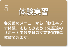 体験学習