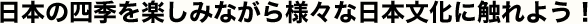 日本の四季を楽しみながら様々な日本文化に触れよう！